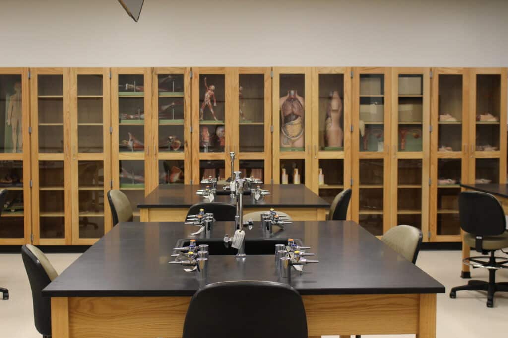 Laboratory with anatomical models and microscopes on tables.