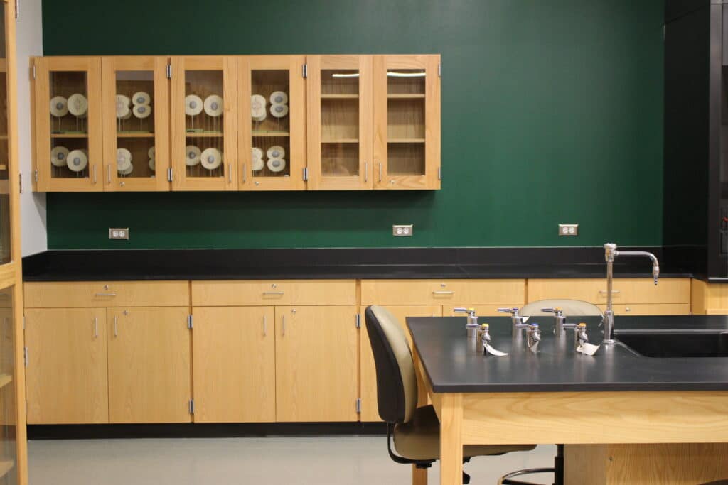 Modern laboratory interior with wooden cabinets and sink.