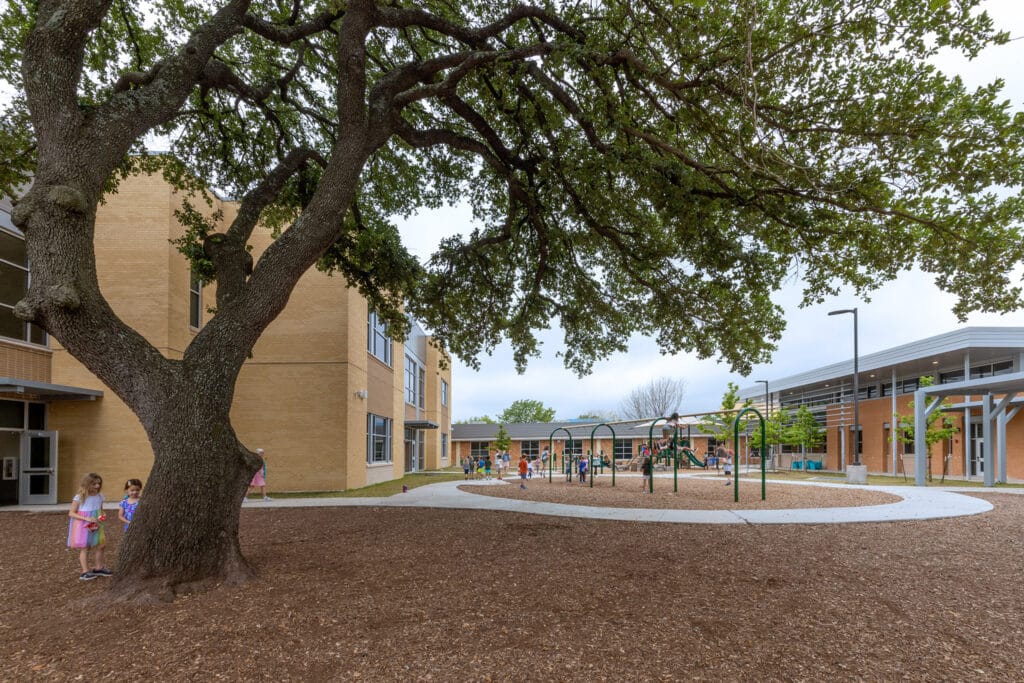 School playground with children and large oak tree.
